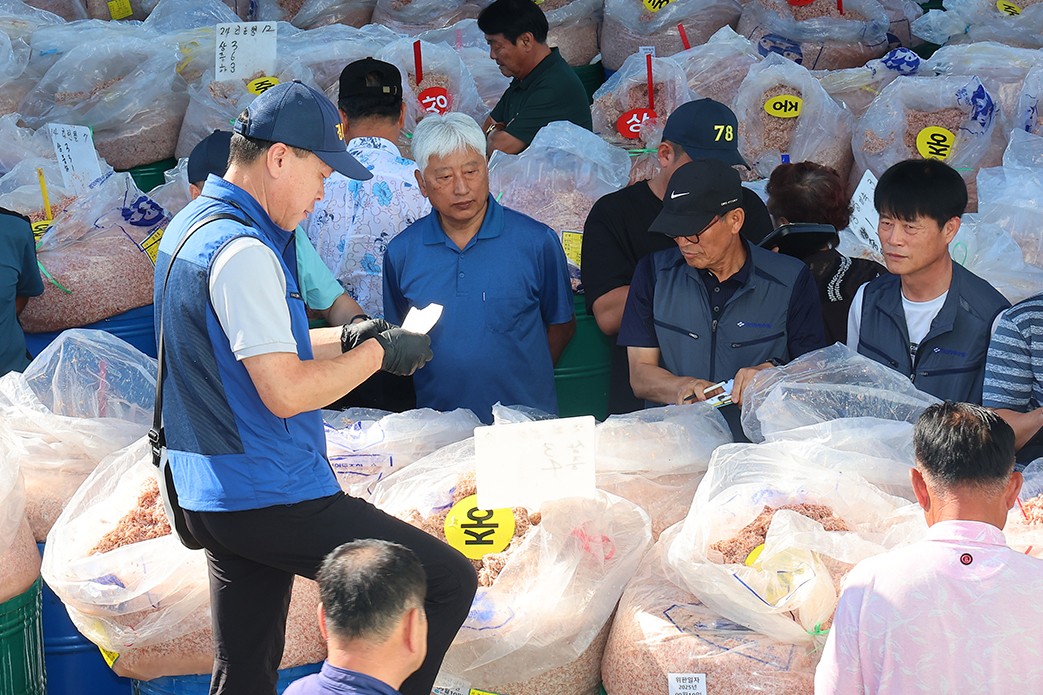 9月10日，在仁川江华郡内可面外浦里的虾酱批发市场，人们正在购买秋季虾酱。秋季虾酱由秋季虾腌制而成，是增添辛奇风味的绝佳食材。