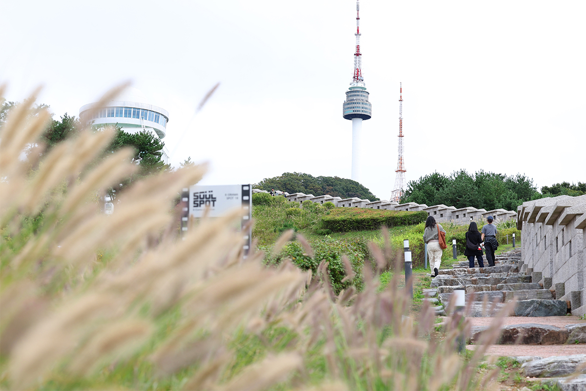 today_photo_251014_활짝핀 수크령 '완연한 가을'