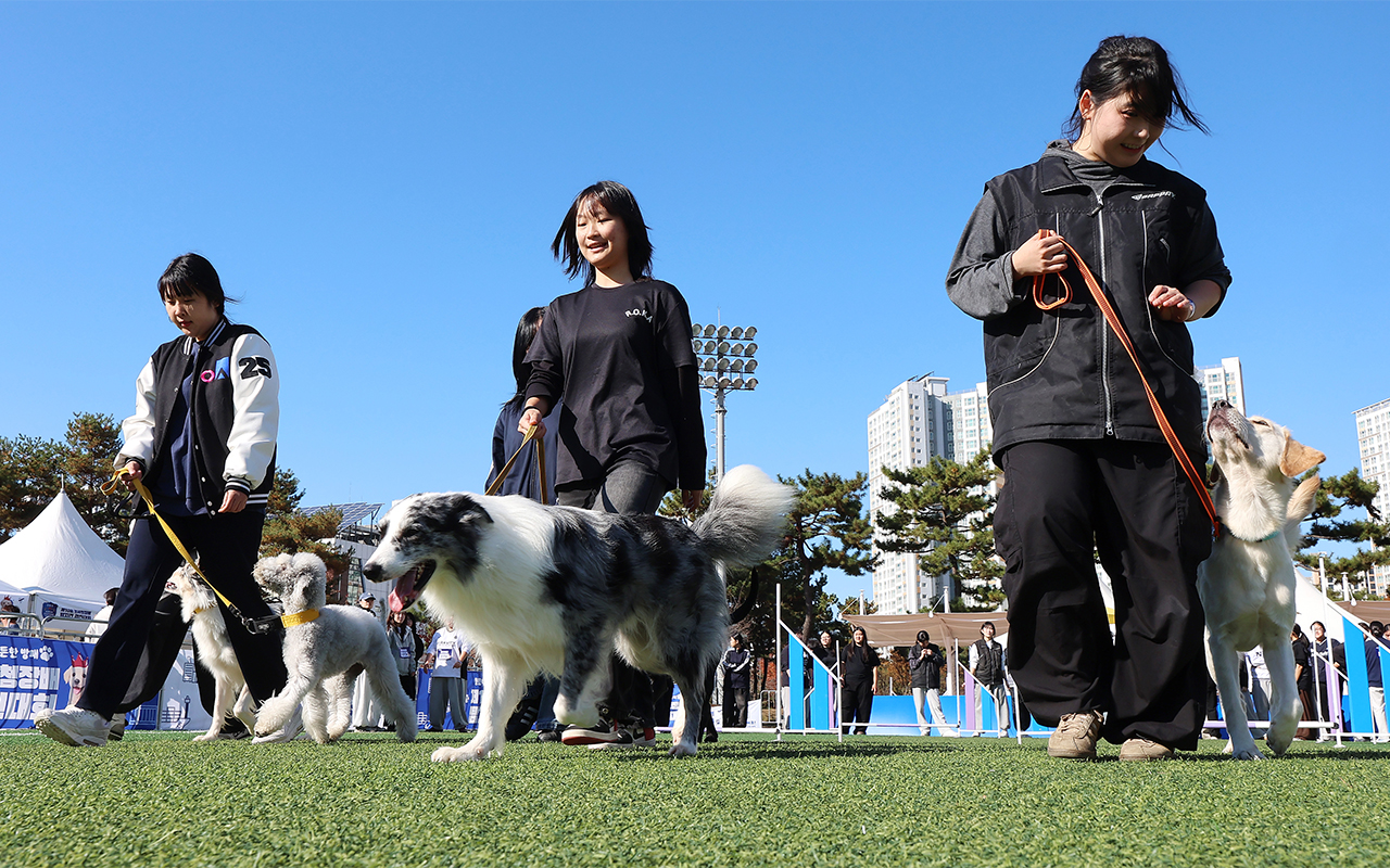 11月14日，在仁川永宗岛天空体育公园举行的关税厅长杯嗅探犬大赛上，主人携爱犬在开赛前正在热身。