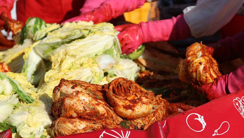 作为辛奇的核心原料，“kimchi cabbage（辛奇白菜）”正式被列入国际官方名称，同时海苔产品的全球标准化工作获国际批准，韩国食品的全球标准化进程进一步提速。图片来源：韩宣网DB