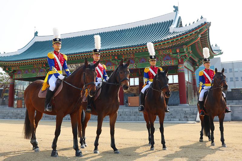 在花郎阅兵场列队的战马与士官生，左起金官弘（四年级）、张元赫（三年级）、延晓潾（二年级）、许竣释（四年级）。昔日驰骋战场的骑兵力量，如今已转化为承载陆军士官学校精神的象征性传统。尽管战斗功能不再，但其中蕴含的秩序与气概，正以另一种方式延续。军马队不仅参与校内活动，也活跃于各类对外活动，逐步拉近与公众的距离。