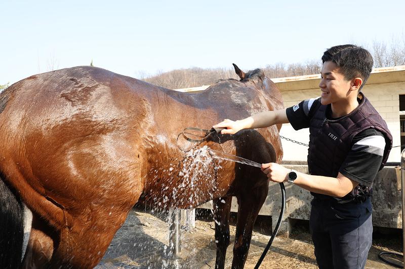 正在为战马洗浴的金泰范士官生（二年级）。与战马的交感，是军马队活动的核心。士官生们不仅骑乘战马，还通过日常照料与训练建立深厚信任。当战马感知骑手的情绪与意图，骑手也读懂战马的动作时，一个统一完整的行动才真正形成。