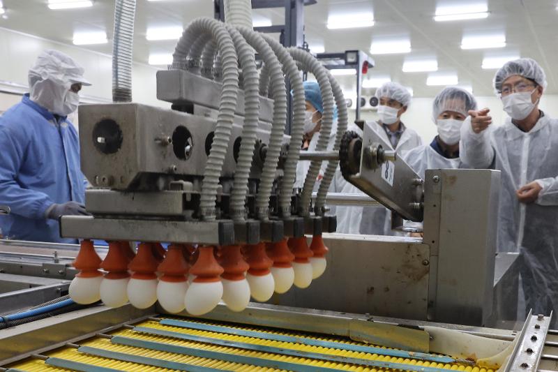 图为1月26日，在天安市西北区立场面的某鸡蛋进口企业内，韩国农林畜产食品部粮食政策室室长朴正勋（音）、食品药品安全处、农水产食品流通公社（aT），以及进口企业相关工作人员正在检查美国产鲜鸡蛋的产品化流程。图片来源：韩联社