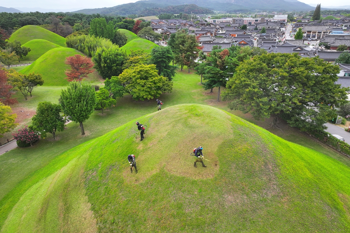 9月18日，在中秋节来临前夕，庆尚北道庆州市大陵苑地区内的王陵等主要古墓群中，工作人员正在进行除草作业。