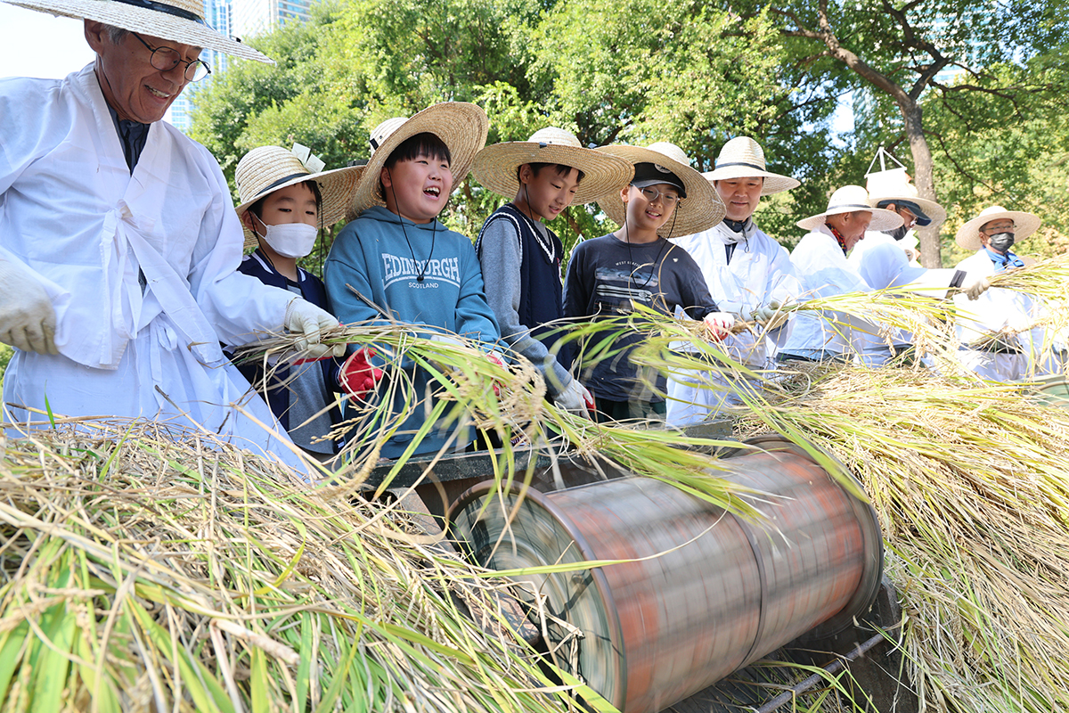 10月15日，在首尔良才川水稻种植体验学习场举行的&ldquo;良才川迎秋收割水稻等体验活动&rdquo;上，孩子体验水稻收割后合影留念。