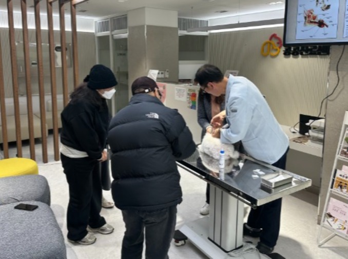 金浦市扩大宠物公共诊疗服务 促进流浪动物领养