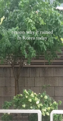 reason why it rained in Korea today