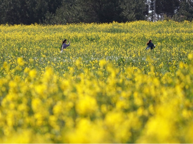 “现在正是赴韩好时机” 多重优惠吸引外国游客