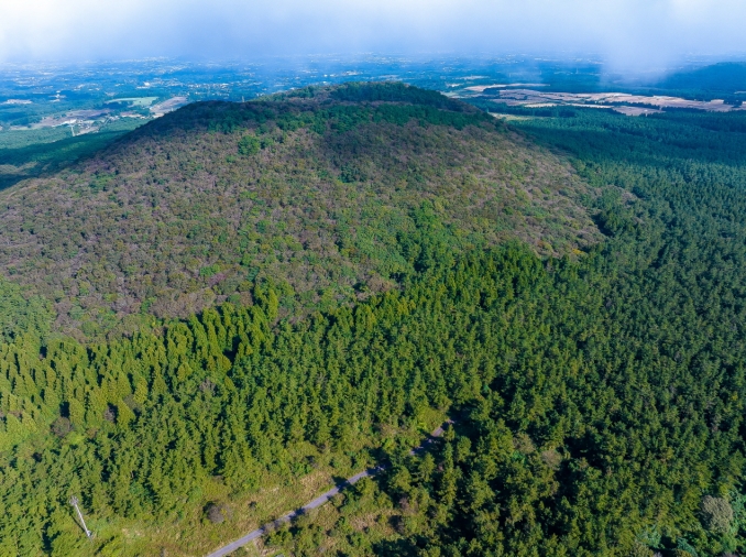 【韩国公共行政的优势】从废墟中创造绿色奇迹：韩国森林绿化成为全球政策标杆