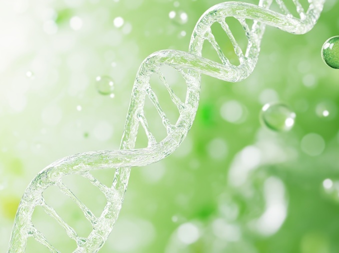 韩研究团队发现自闭症遗传变异两类分子特征