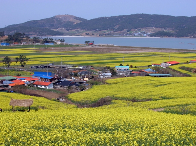 韩国下半年“半价旅行”入选9个地区